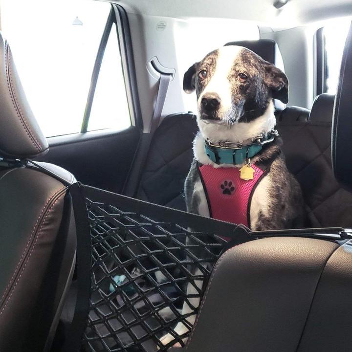 Car Storage Pocket